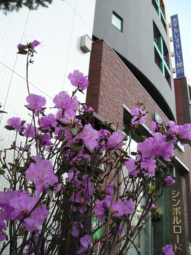 Kuretake Inn Asahikawa Buitenkant foto